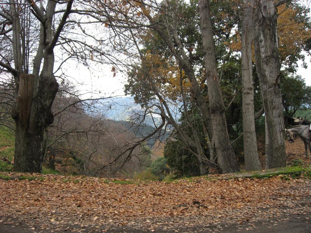 Posada Mirador De Хубрике Экстерьер фото